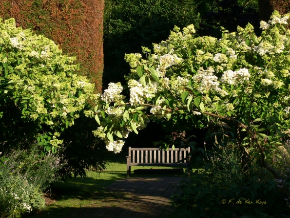 Banc lumiere du soir
